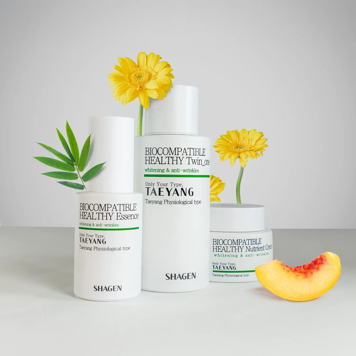 Shagen Taeyang (GREEN) Energy Type Set of 3 - Quadruple Effect - Total 240ml